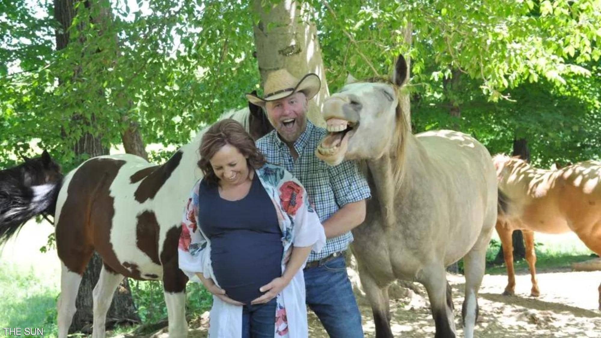 بالصور: الجواد الضاحك يسرق الأضواء في لقطات الأمومة