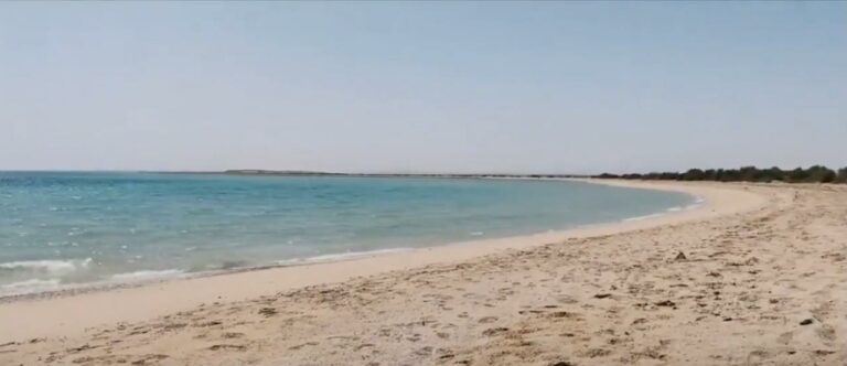 اسمها من طبيعتها.. مشاهد خلابة لجزيرة أم شجيرات في تبوك- فيديو