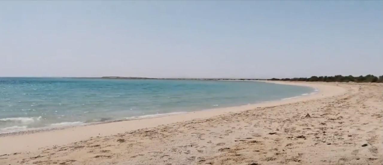 اسمها من طبيعتها.. مشاهد خلابة لجزيرة أم شجيرات في تبوك- فيديو