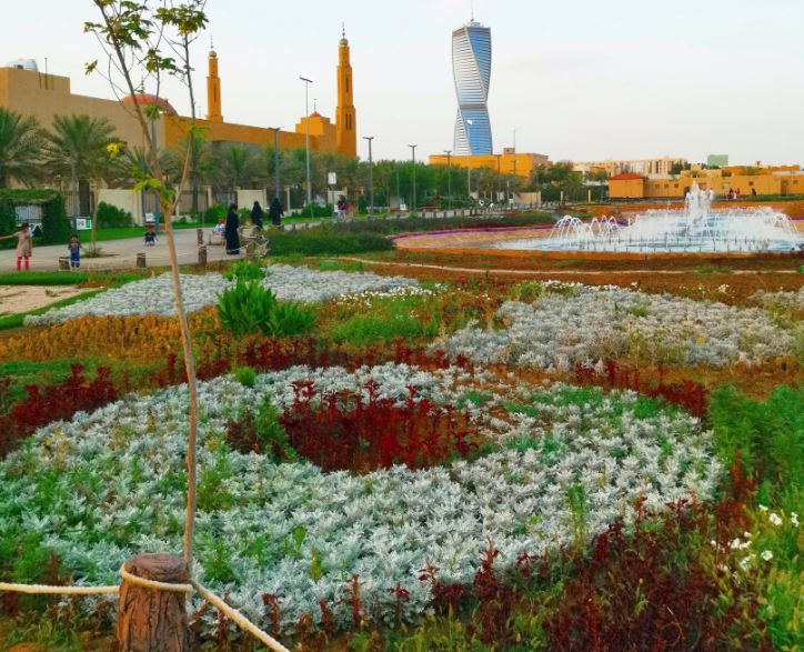 حديقة الزهور