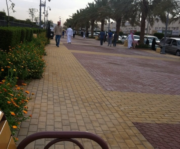 ممشى حديقة الروضة