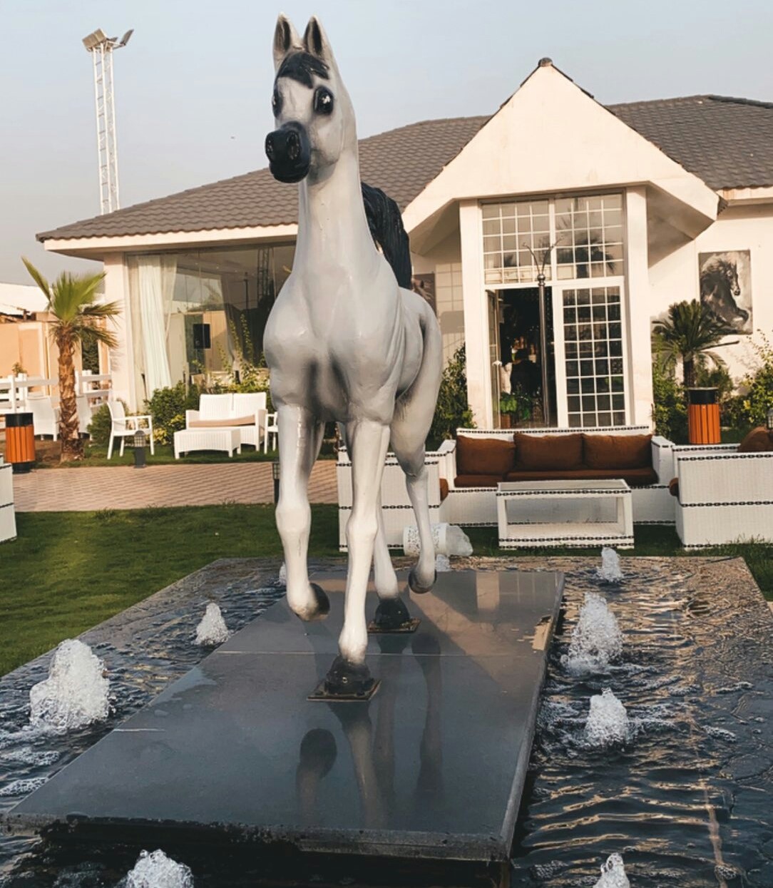 نادي الفارسة للسيدات