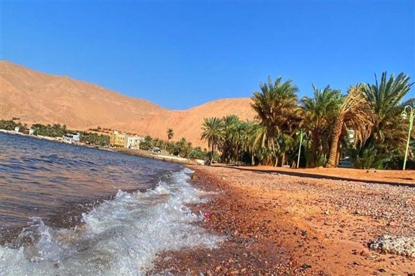 لتميز موقعه ومناخه.. شاطئ حقل جاذب للسياح طيلة العام-صور