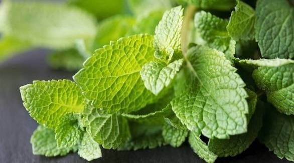 وداعاً للتصبغ.. مع تونر النعناع