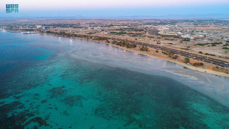 شاهد المناظر الخلابة والتنوع النادر.. تجارب سياحية تقدّمها أملج على متن القوارب