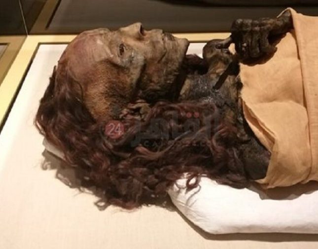 مدير مخزن المومياوات بالمتحف المصري يكشف مفاجأة بشأن شعر الملكة تي