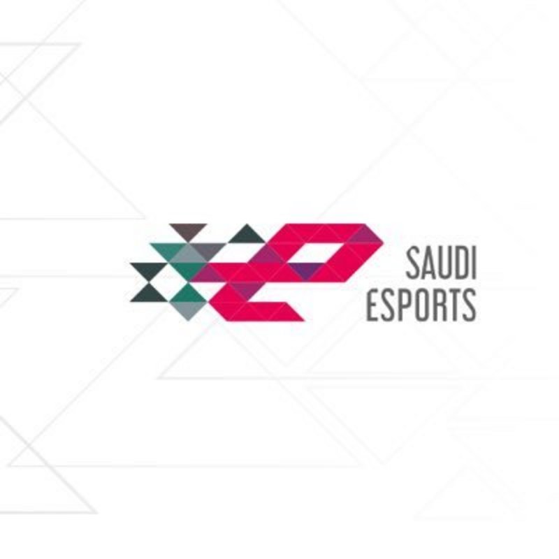 في نسخته الثالثة .. اتحاد الرياضات الإلكترونية يختتم بطولة الدوري  الإلكتروني