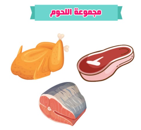 الهرم الغذائي للأطفال مجموعة اللحوم