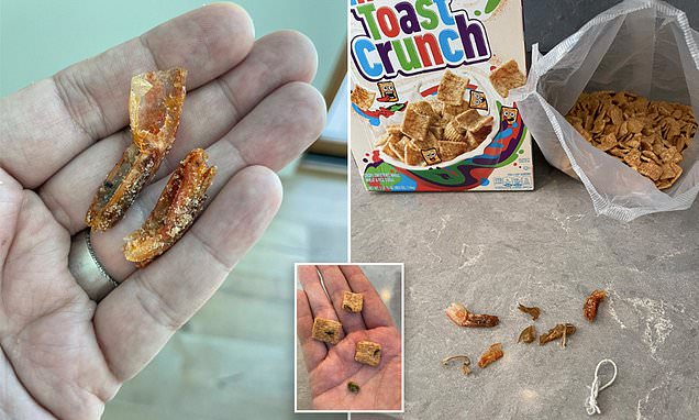 بالصور: رجل يتسلى بتناول المقرمشات المفضلة فاكتشف المفاجأة الصادمة داخل العلبة